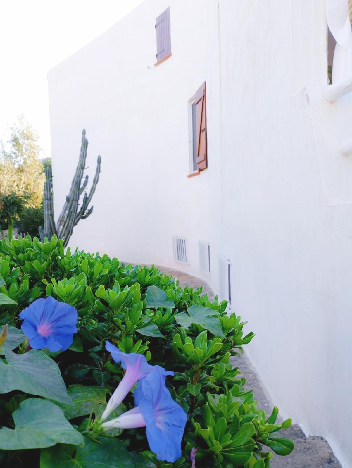 Villa Anna 300 M Dal Mare ตอเรเดลเลสเตลเล ภายนอก รูปภาพ